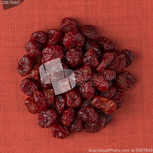Image of Circle of dried cranberries