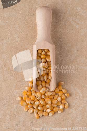 Image of Wooden scoop with corn