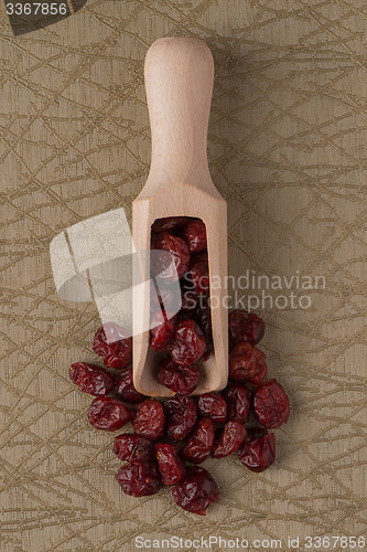 Image of Wooden scoop with dried cranberries