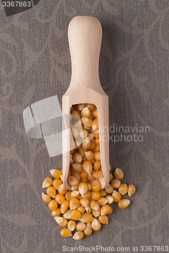 Image of Wooden scoop with corn