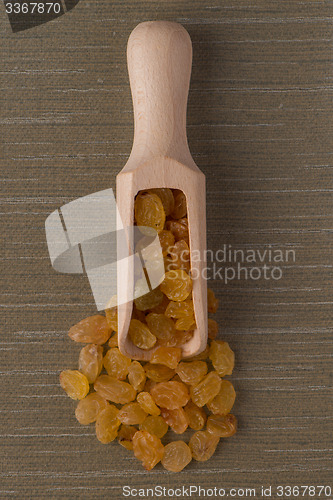 Image of Wooden scoop with golden raisins