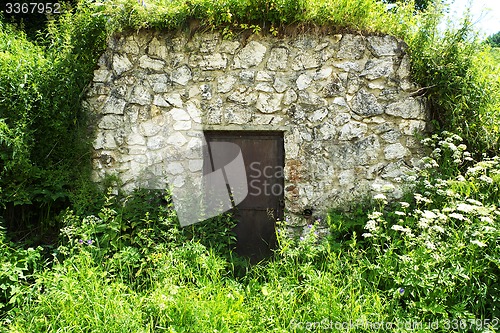 Image of Vintage cellar