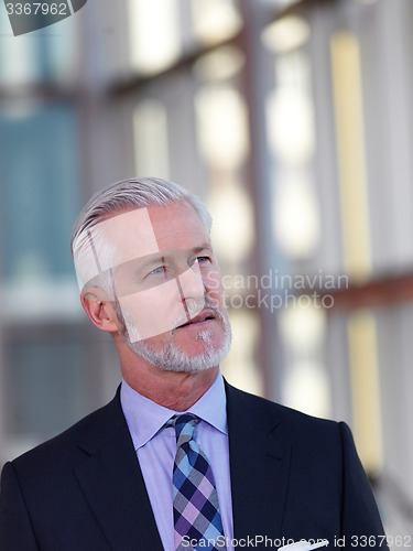 Image of senior business man portrait