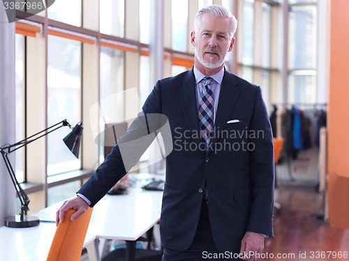 Image of senior business man portrait