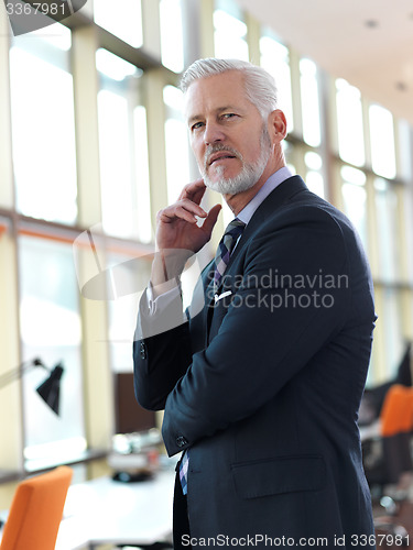 Image of senior business man portrait