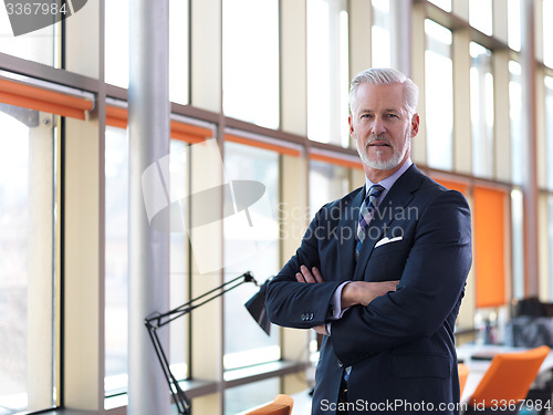 Image of senior business man portrait