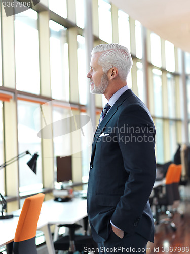 Image of senior business man portrait