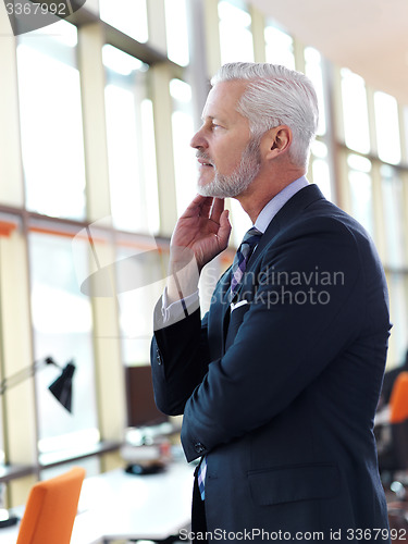 Image of senior business man portrait