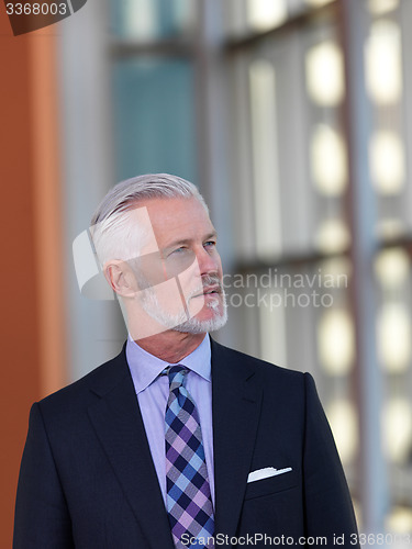 Image of senior business man portrait