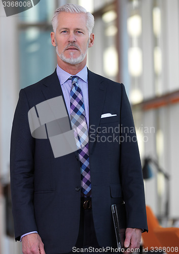 Image of senior business man portrait