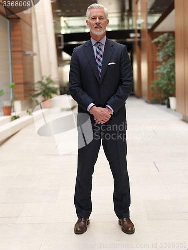 Image of senior business man portrait