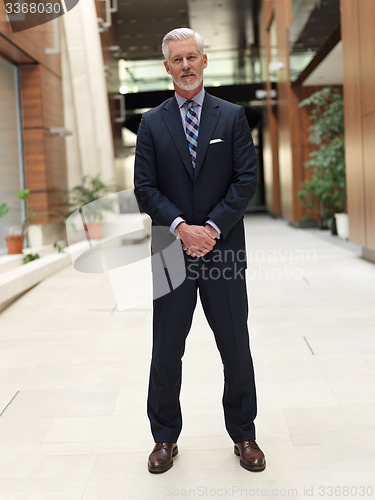 Image of senior business man portrait