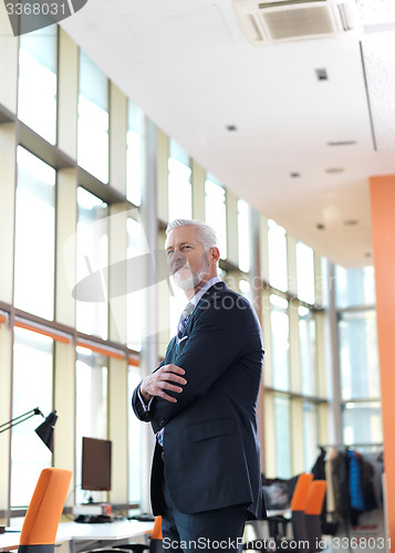 Image of senior business man portrait