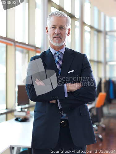 Image of senior business man portrait