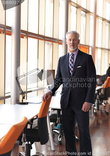 Image of senior business man portrait