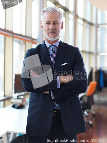 Image of senior business man portrait