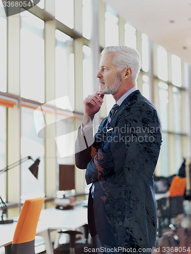 Image of senior business man portrait