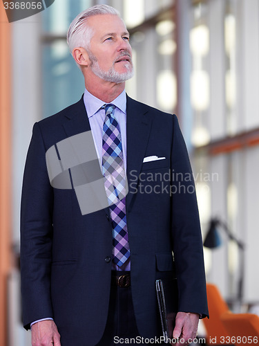 Image of senior business man portrait