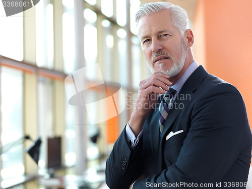 Image of senior business man portrait