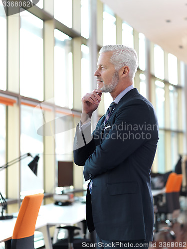 Image of senior business man portrait