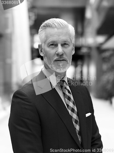 Image of senior business man portrait