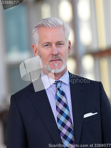 Image of senior business man portrait