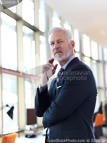 Image of senior business man portrait