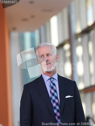Image of senior business man portrait