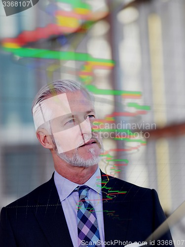 Image of senior business man portrait