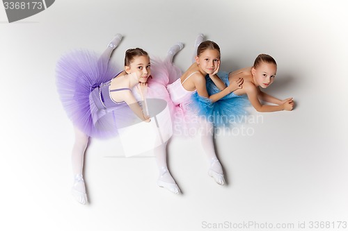 Image of Three little ballet girls sitting in tutu and posing together
