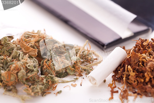 Image of Dried Cannabis on Rolling Paper with Filter