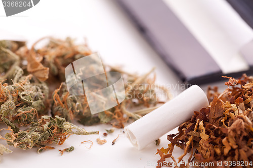 Image of Dried Cannabis on Rolling Paper with Filter