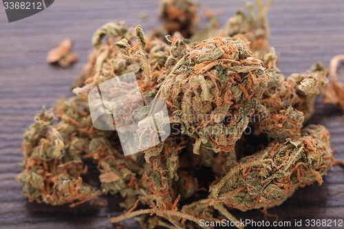 Image of Close up Dried Marijuana Leaves on the Table