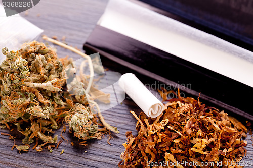 Image of Dried Cannabis on Rolling Paper with Filter