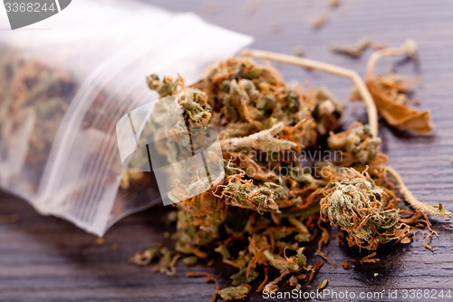 Image of Close up Dried Marijuana Leaves on the Table