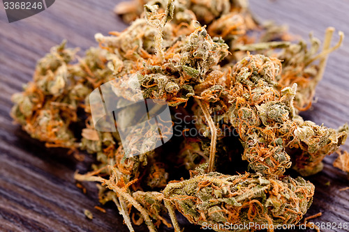 Image of Close up Dried Marijuana Leaves on the Table