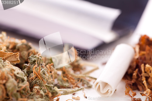 Image of Dried Cannabis on Rolling Paper with Filter