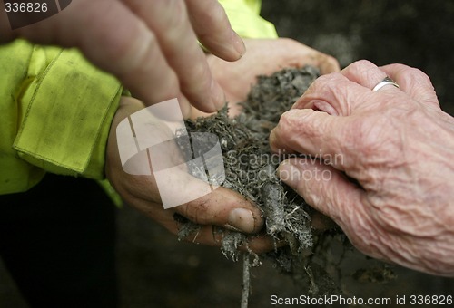 Image of Compost