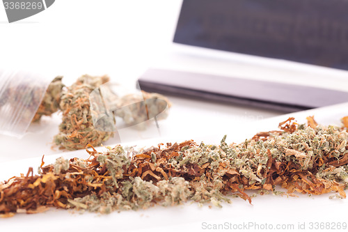 Image of Dried Cannabis on Rolling Paper with Filter