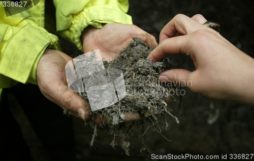 Image of Compost