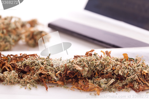 Image of Dried Cannabis on Rolling Paper with Filter