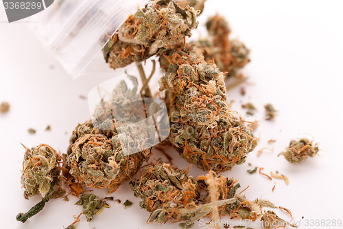 Image of Close up Dried Marijuana Leaves on the Table