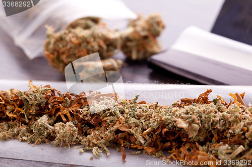 Image of Dried Cannabis on Rolling Paper with Filter