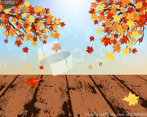 Image of Autumn background
