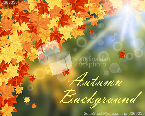 Image of Autumn background