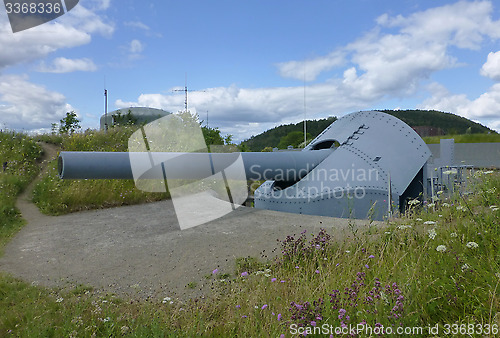 Image of Old Cannon