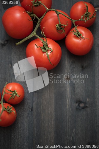 Image of Fresh tomatoes 