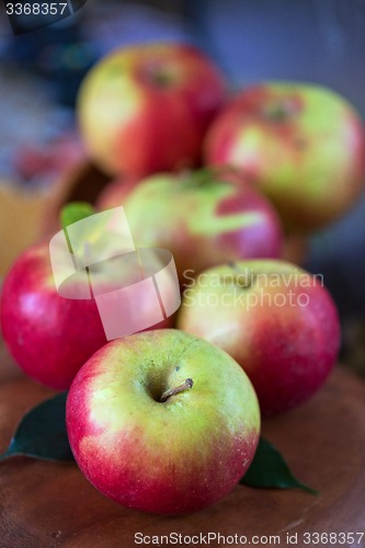 Image of harvest of apples