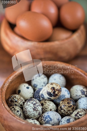 Image of Fresh eggs 