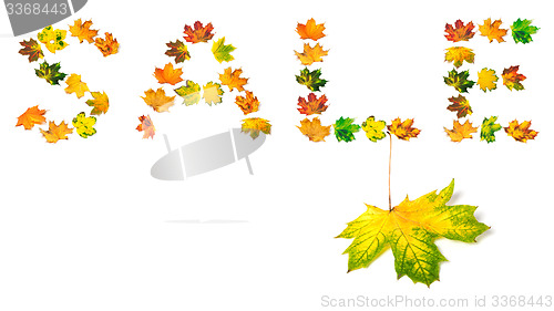 Image of Autumn maple-leaf and word S A L E